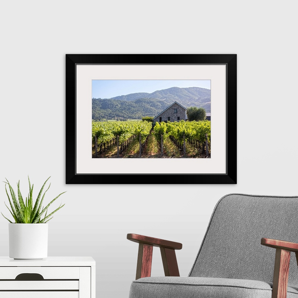 A modern room featuring Landscape photograph of a Napa Valley vineyard with rows of grape vines and a cobblestone buildin...