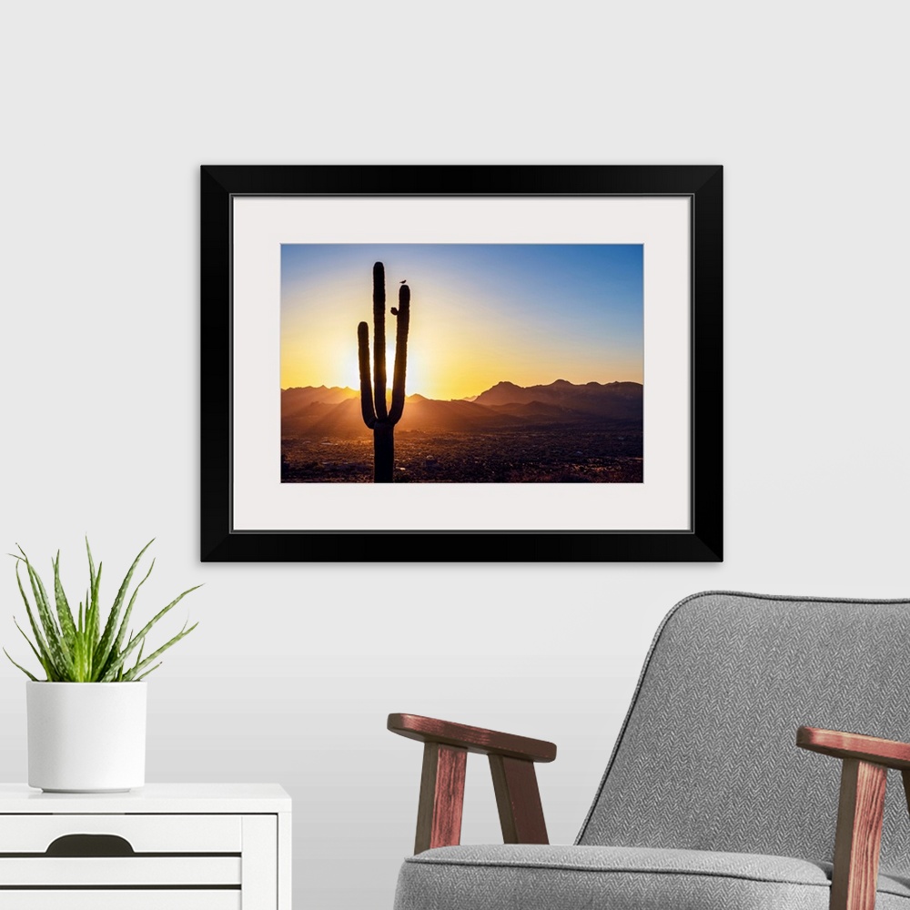 A modern room featuring Sun peeking through Saguaro cactus at sunset in Phoenix, Arizona.