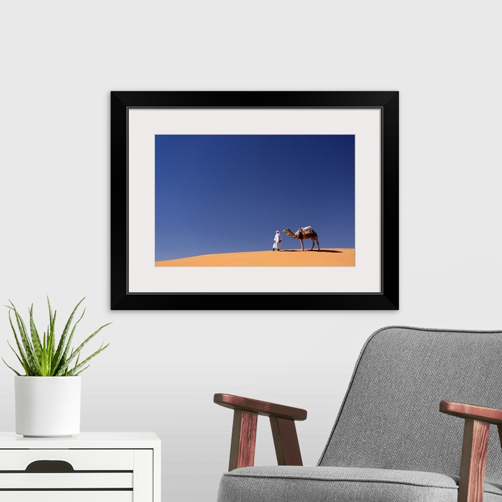 A modern room featuring Berber man with camel on the ridge of an orange sand dune in the Erg Chebbi sand sea, Sahara Dese...