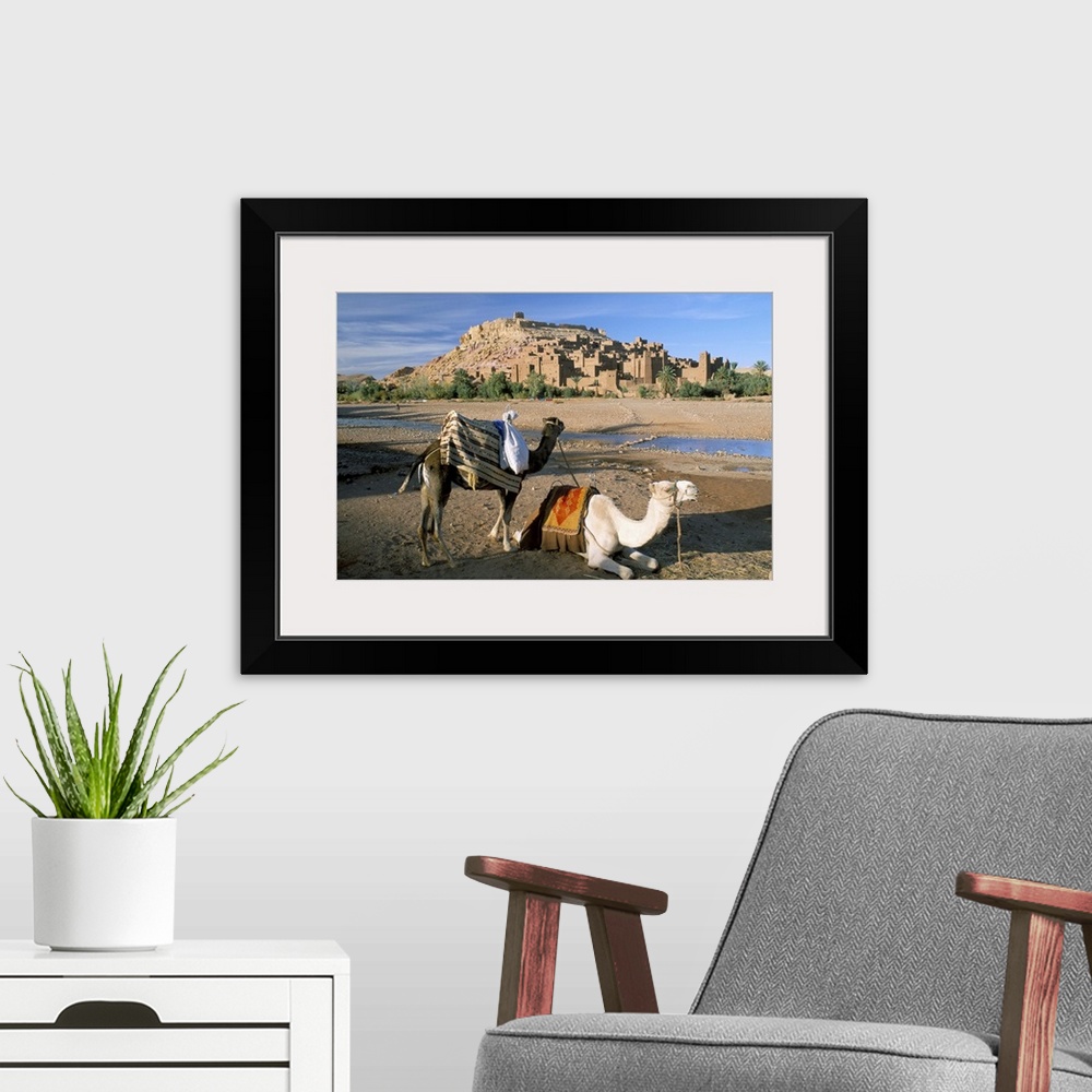 A modern room featuring Camels by riverbank with Kasbah Ait Benhaddou, in background, Morocco, Africa