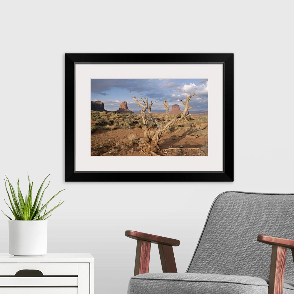 A modern room featuring Monument Valley, Arizona, United States of America (U.S.A.), North America