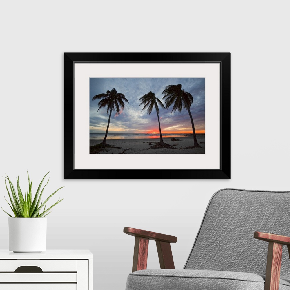 A modern room featuring Sunset and palm trees on Playa Guiones beach, Nosara, Nicoya Peninsula, Costa Rica