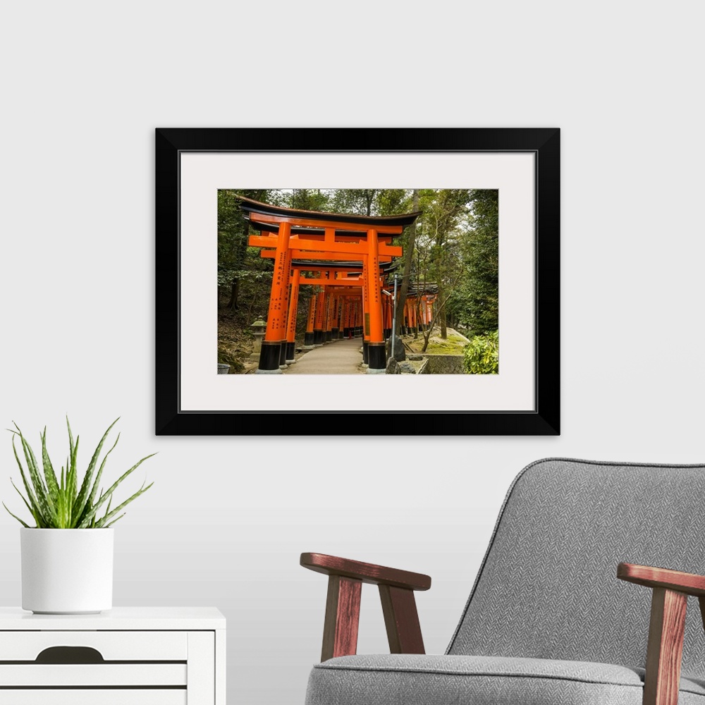 A modern room featuring The Endless Red Gates (torii) of Kyoto's Fushimi Inari Shrine, Kyoto, Japan, Asia.