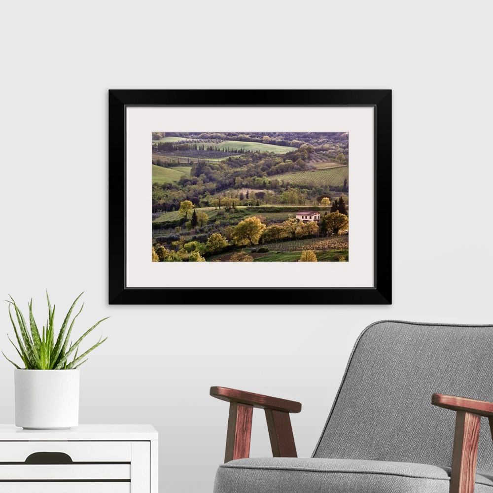 A modern room featuring Fields and hills in a wine vineyard are photographed from an aerial view. Various trees are scatt...