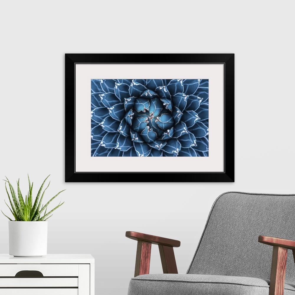 A modern room featuring Agave cactus, abstract natural pattern background, dark blue toned.