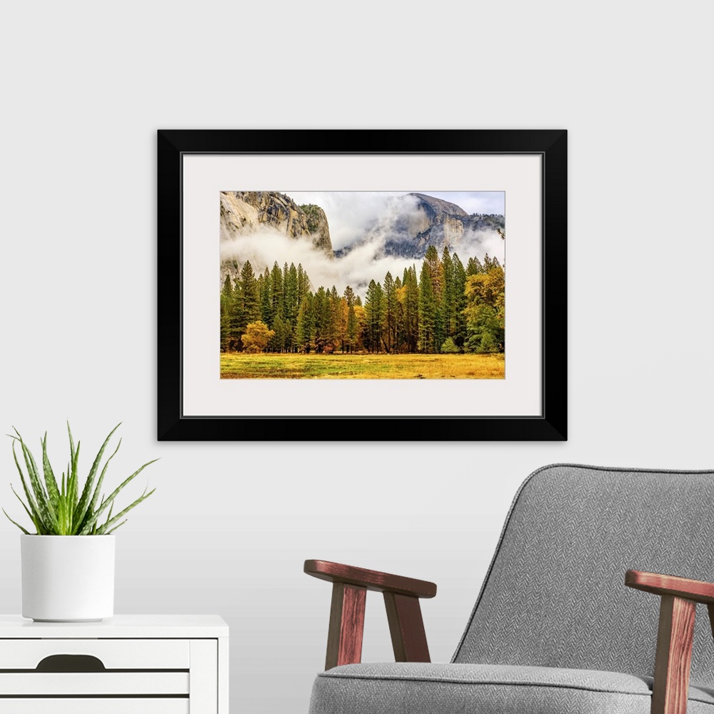 A modern room featuring Yosemite National Park Valley At Cloudy Autumn Morning, California