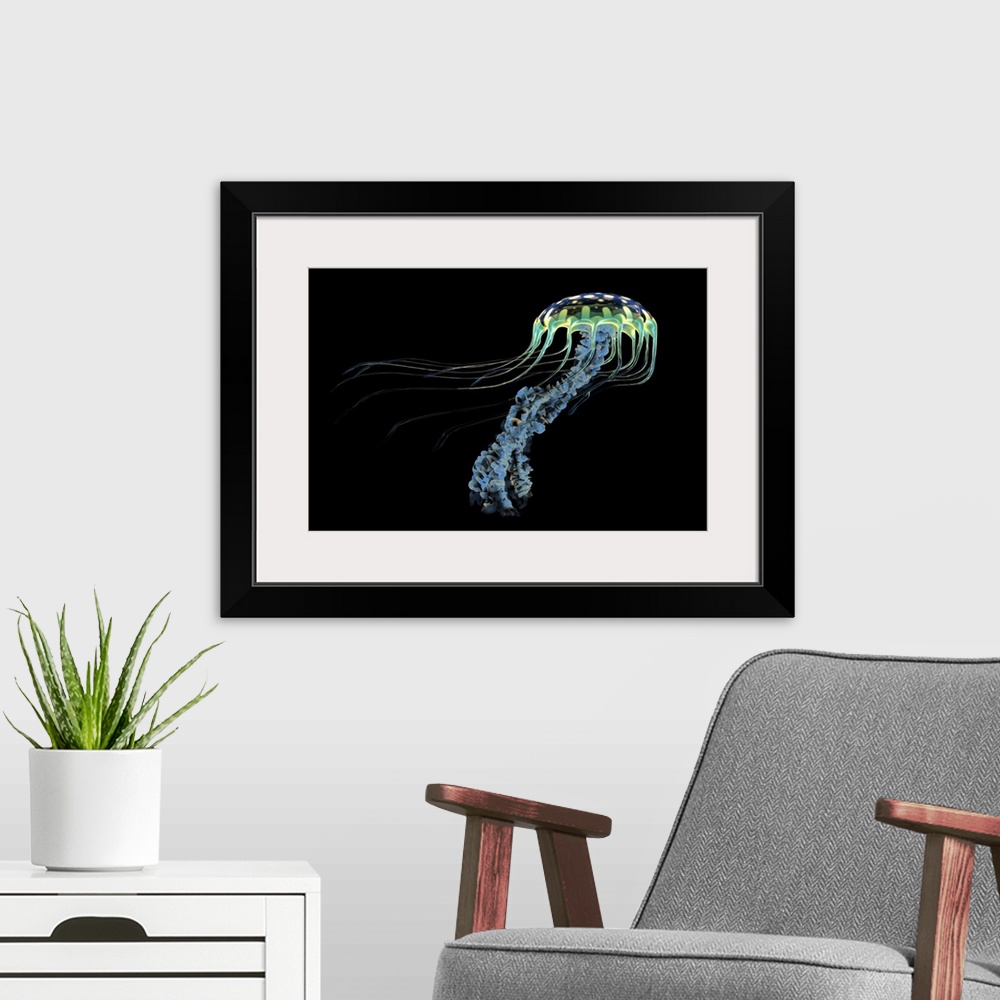 A modern room featuring An iridescent blue jellyfish with trailing stinging tentacles to subdue its prey.