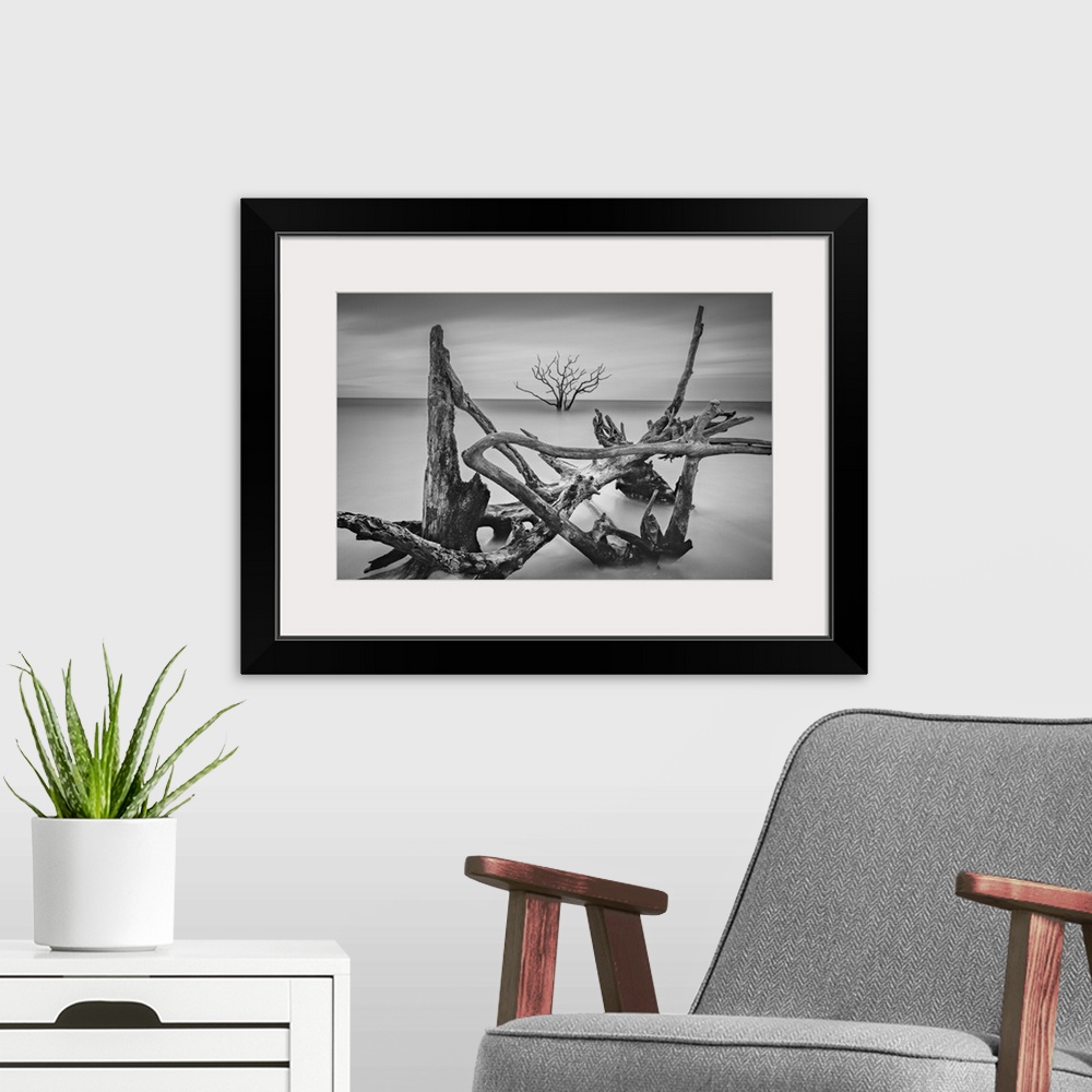 A modern room featuring Driftwood in shallow ocean water framing a lone tree in the distanec.