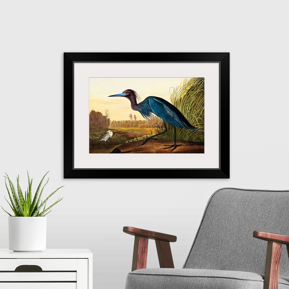 A modern room featuring Blue Crane Or Heron