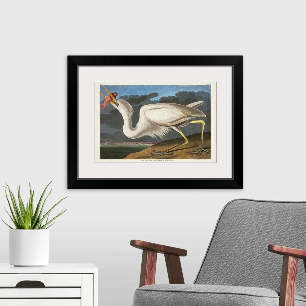 A modern room featuring Great White Heron
