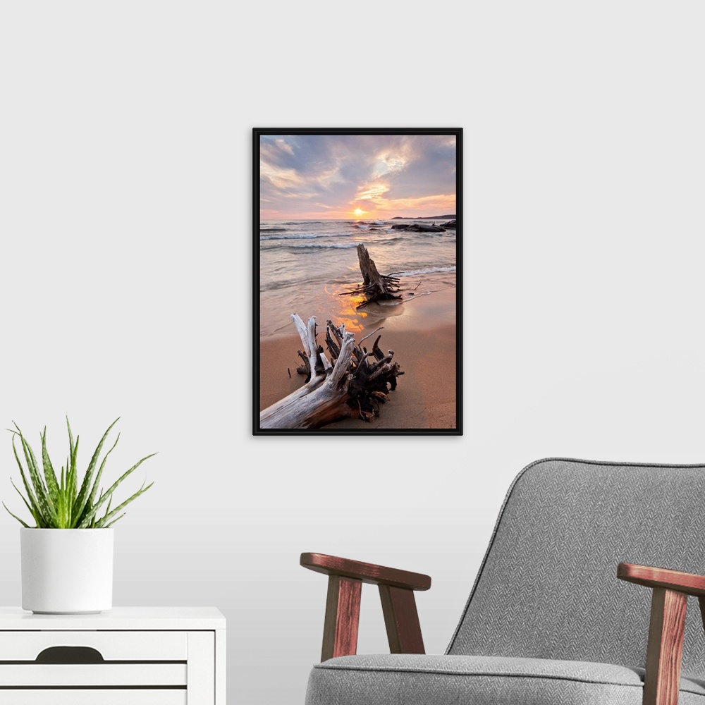 A modern room featuring Pastel scene of two large pieces of sea bleached driftwood, lining up with the setting sun as sha...