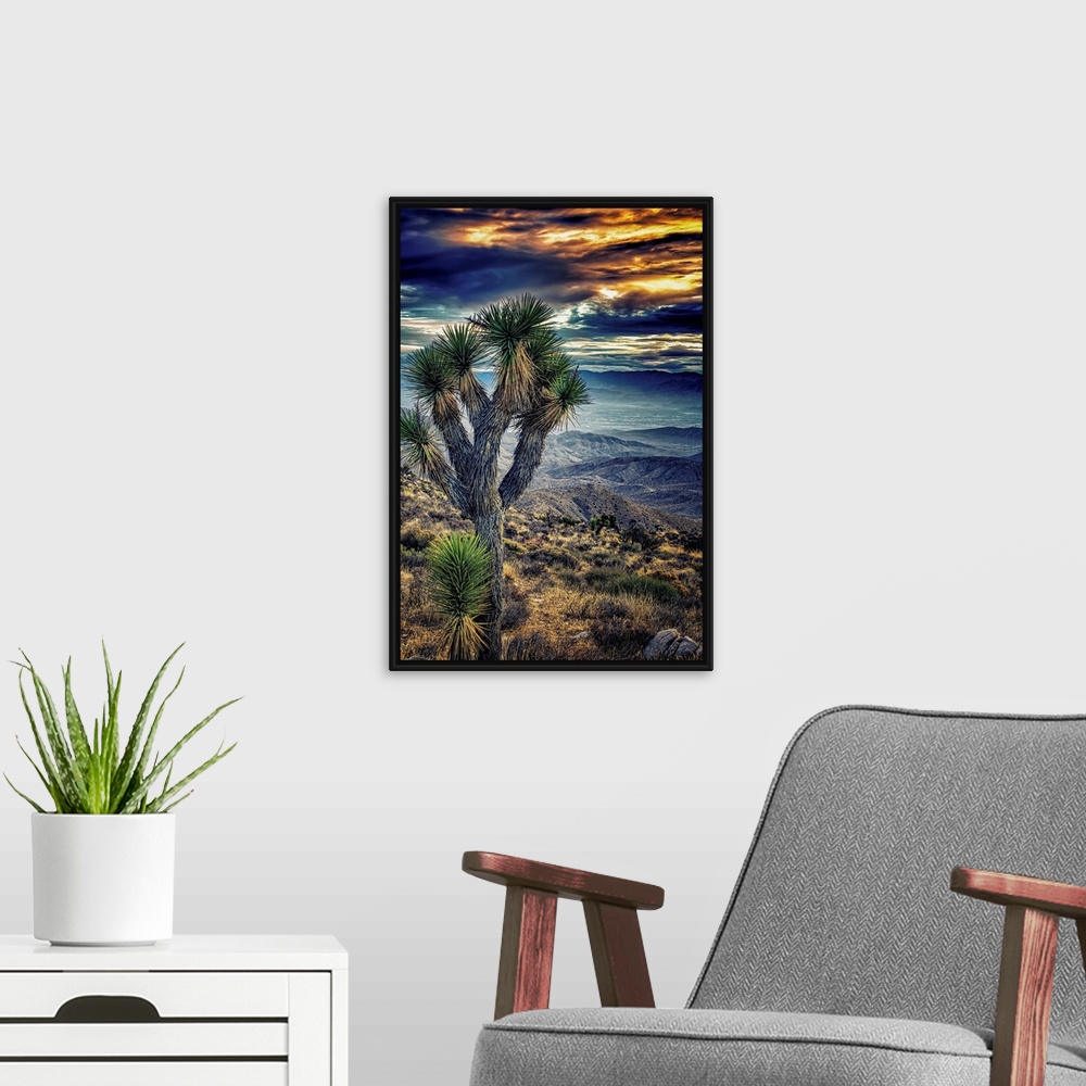A modern room featuring A photograph of a Joshua tree in the Joshua Tree national park.