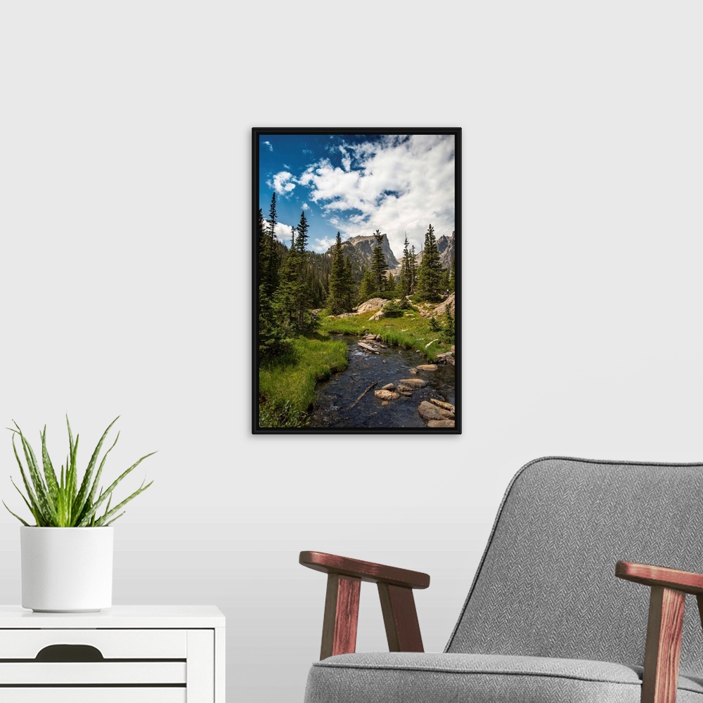 A modern room featuring Landscape photograph of a stream going through Rocky Mountain National Park on a beautiful day.