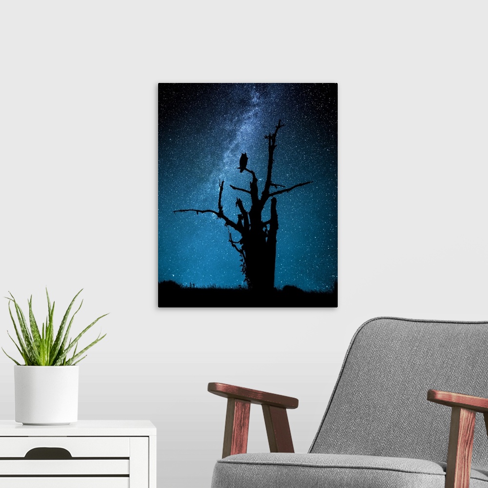 A modern room featuring Silhouette of an owl perched in a bare tree against the Milky Way in the starry night sky.