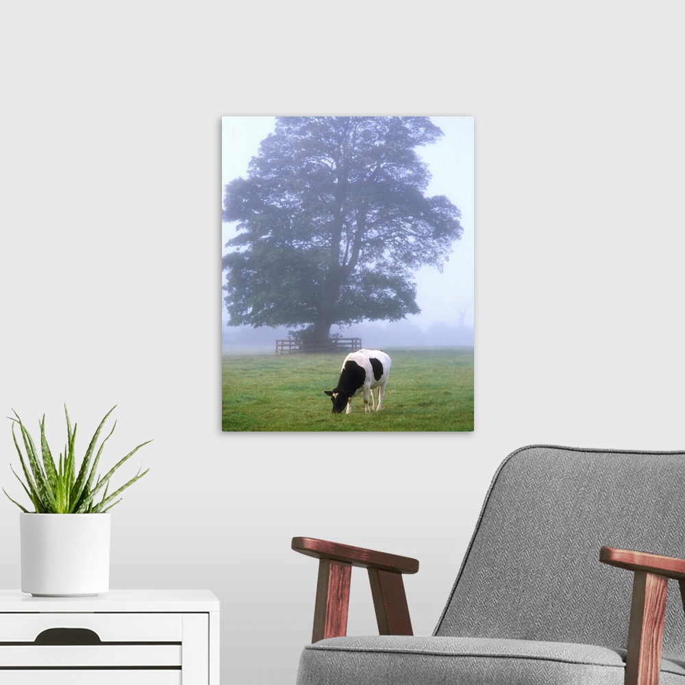 A modern room featuring Friesian Cow, Ireland