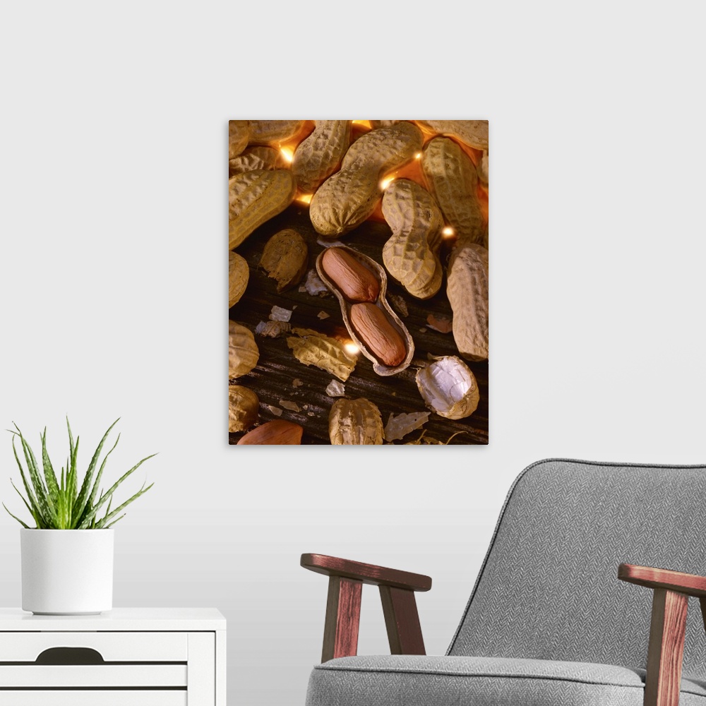 A modern room featuring Mature peanuts on wood with one cracked open