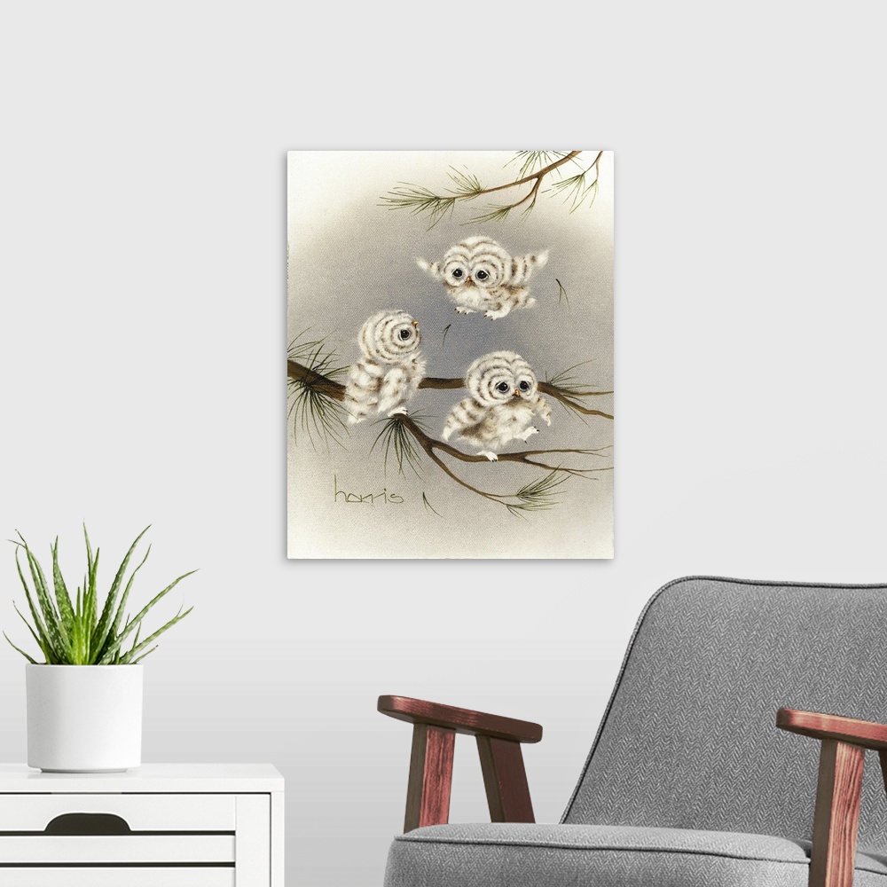 A modern room featuring Three baby owls on a branch.