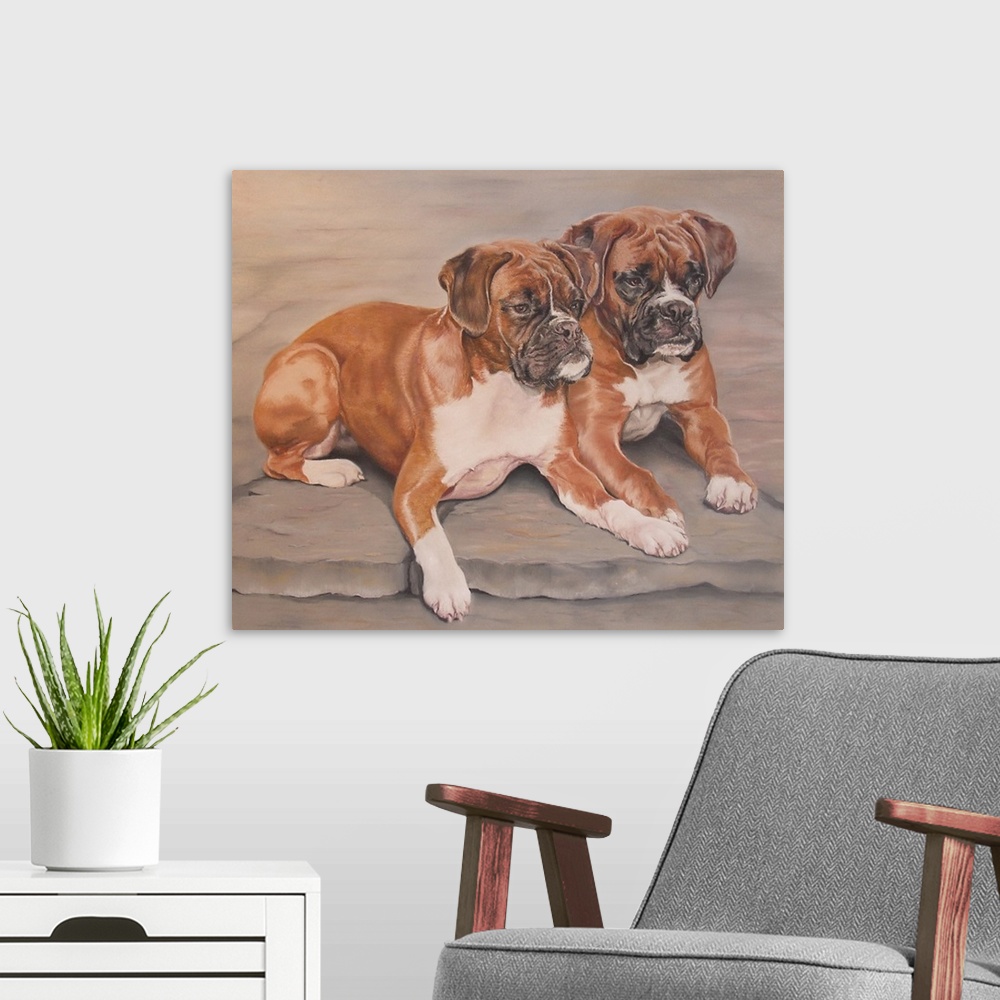 A modern room featuring Two Boxer Dogs