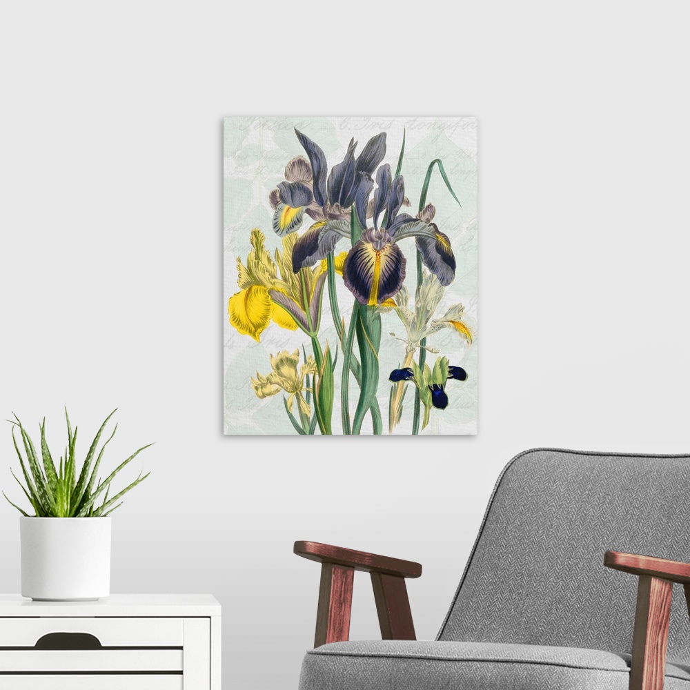 A modern room featuring Elegant botanical floral study adds a classic ambiance to any decor