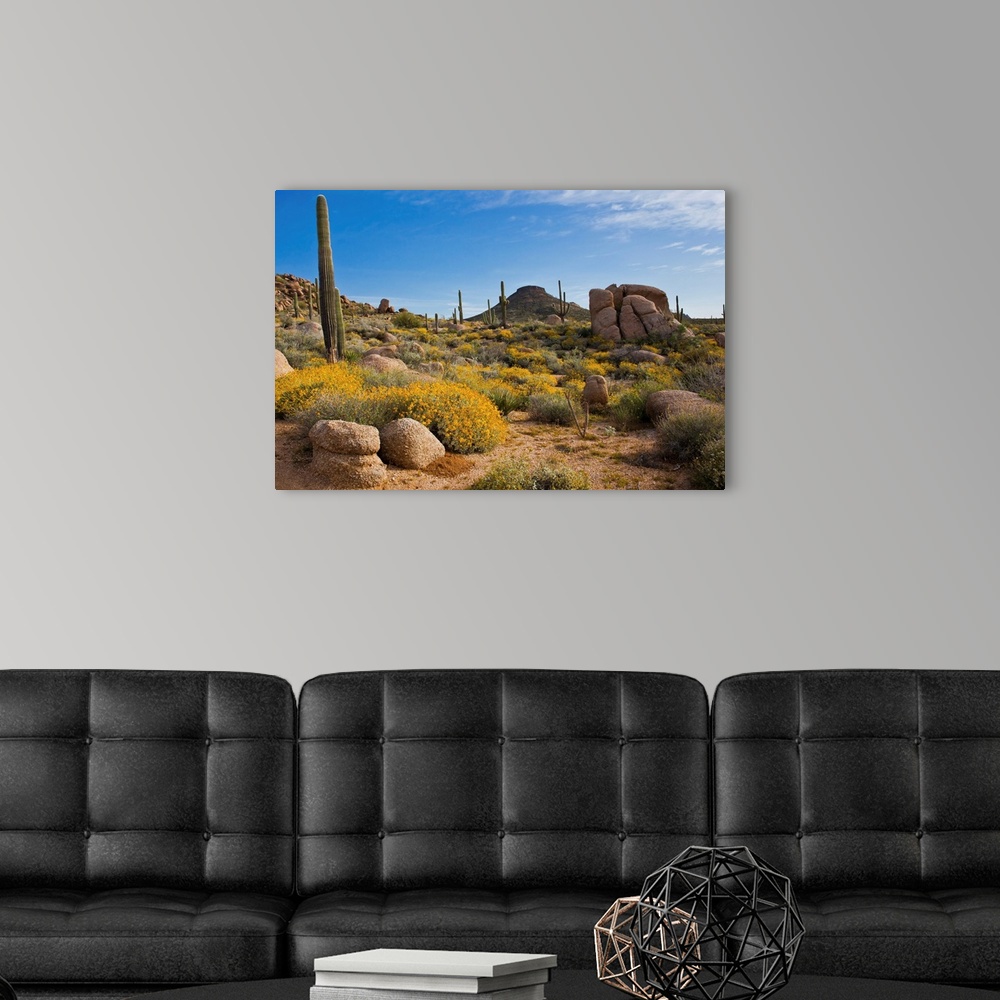 A view of Arizona's Sonoran desert with boulders Wall Art, Canvas ...