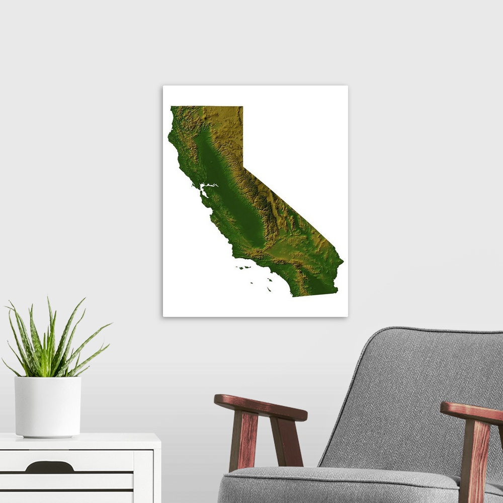 A modern room featuring Topographic map of California