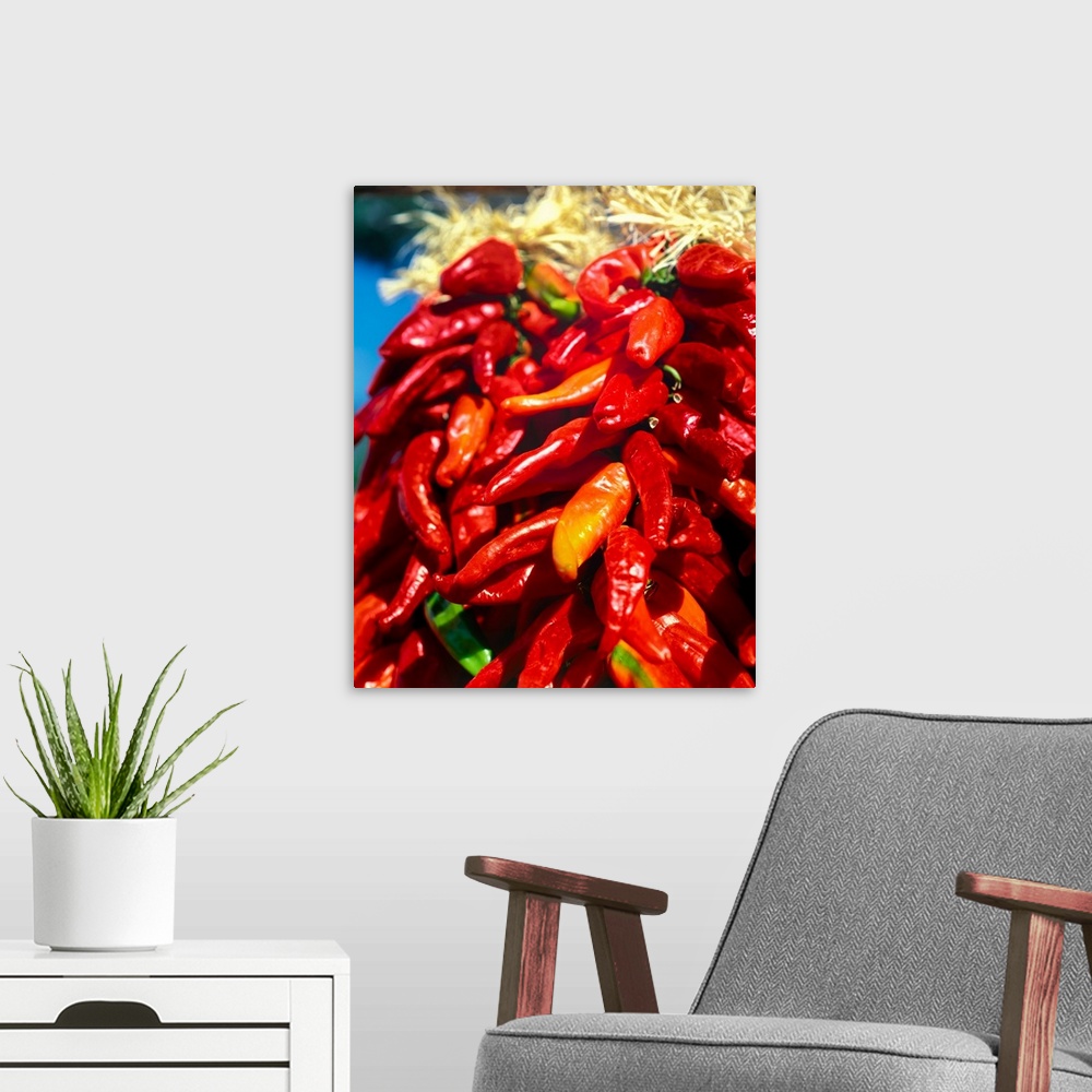 A modern room featuring Close-up of red chilies, taos, new mexico, USA.