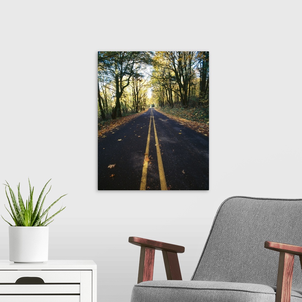 A modern room featuring Highway passing through a forest Historic Columbia River Highway Columbia River Gorge Multnomah C...