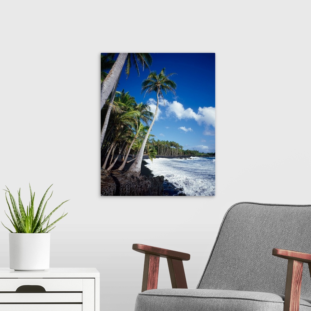 A modern room featuring Palm trees on the black sand beach, Hawaii, USA