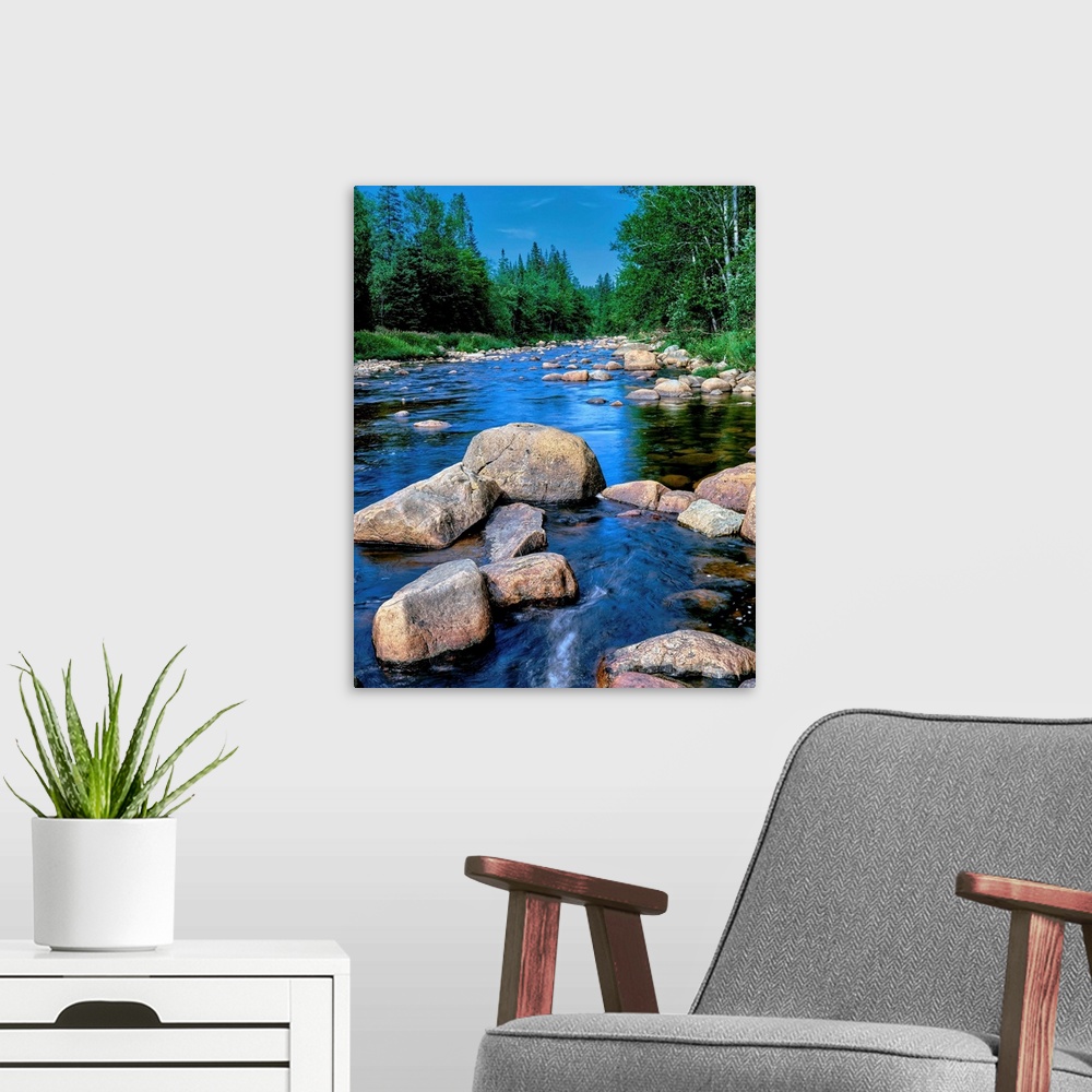 A modern room featuring River flowing through a forest, Ausable River, Lake Placid, Adirondack Mountains, Essex County, N...