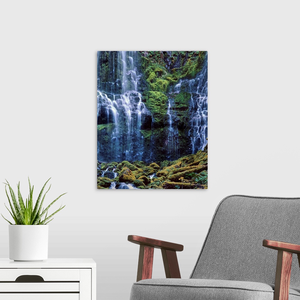 A modern room featuring Scenic view of waterfall in a forest, Lower Proxy Falls, Three Sisters Wilderness, Willamette Nat...
