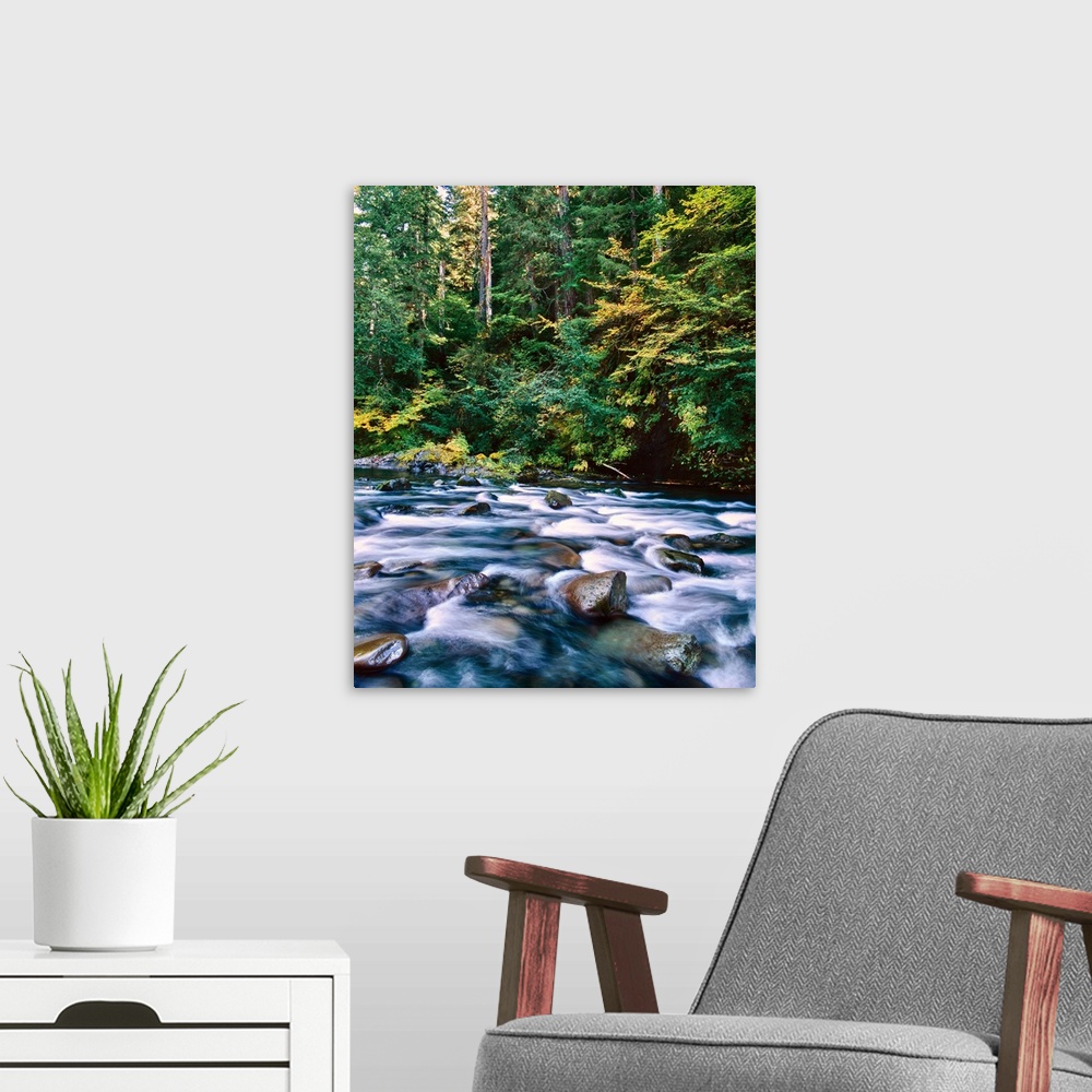 A modern room featuring Scenic view of a river flowing through rocks, North Santiam River, Willamette National Forest, La...