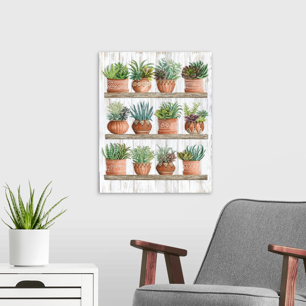 A modern room featuring Succulents on Shelves