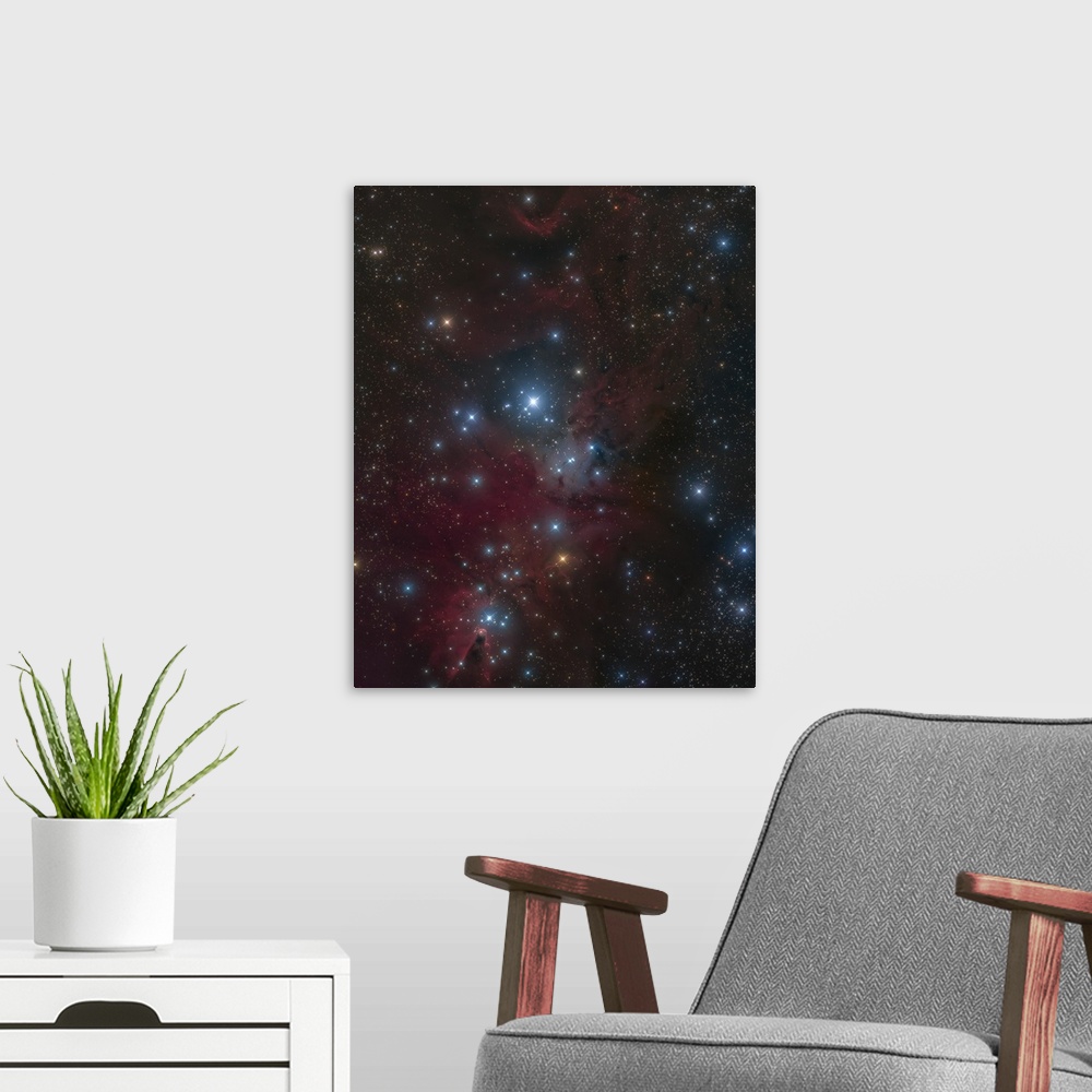 A modern room featuring The Christmas Tree Cluster and Cone Nebula