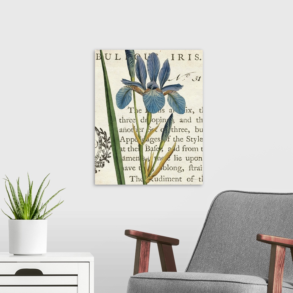 A modern room featuring Vintage stylized illustration of a blue iris against a cream background with text.