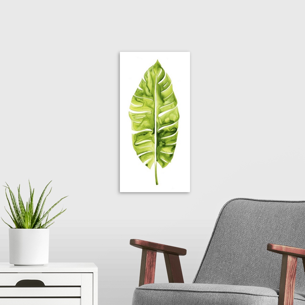 A modern room featuring Vibrant green broad tropical leaf on white.
