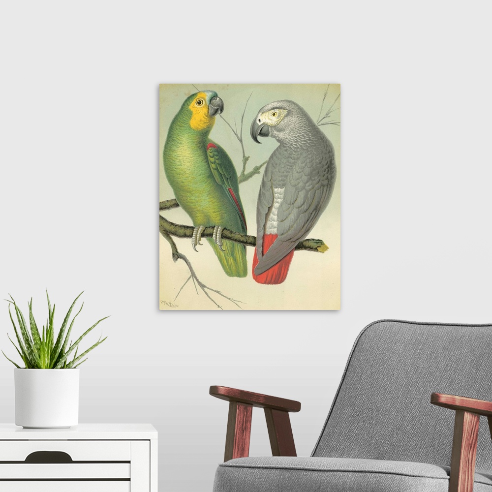A modern room featuring Cassell's Parrots II