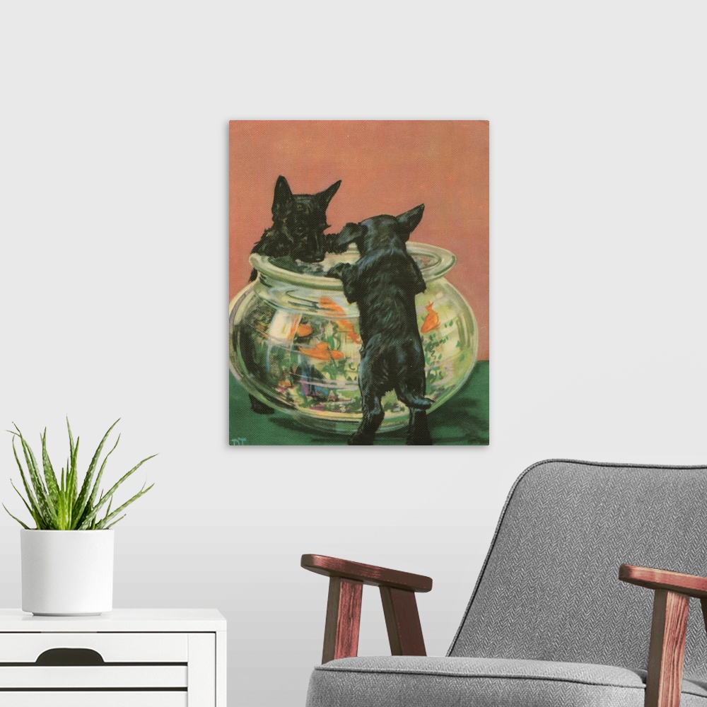 A modern room featuring Terrier Trouble VI