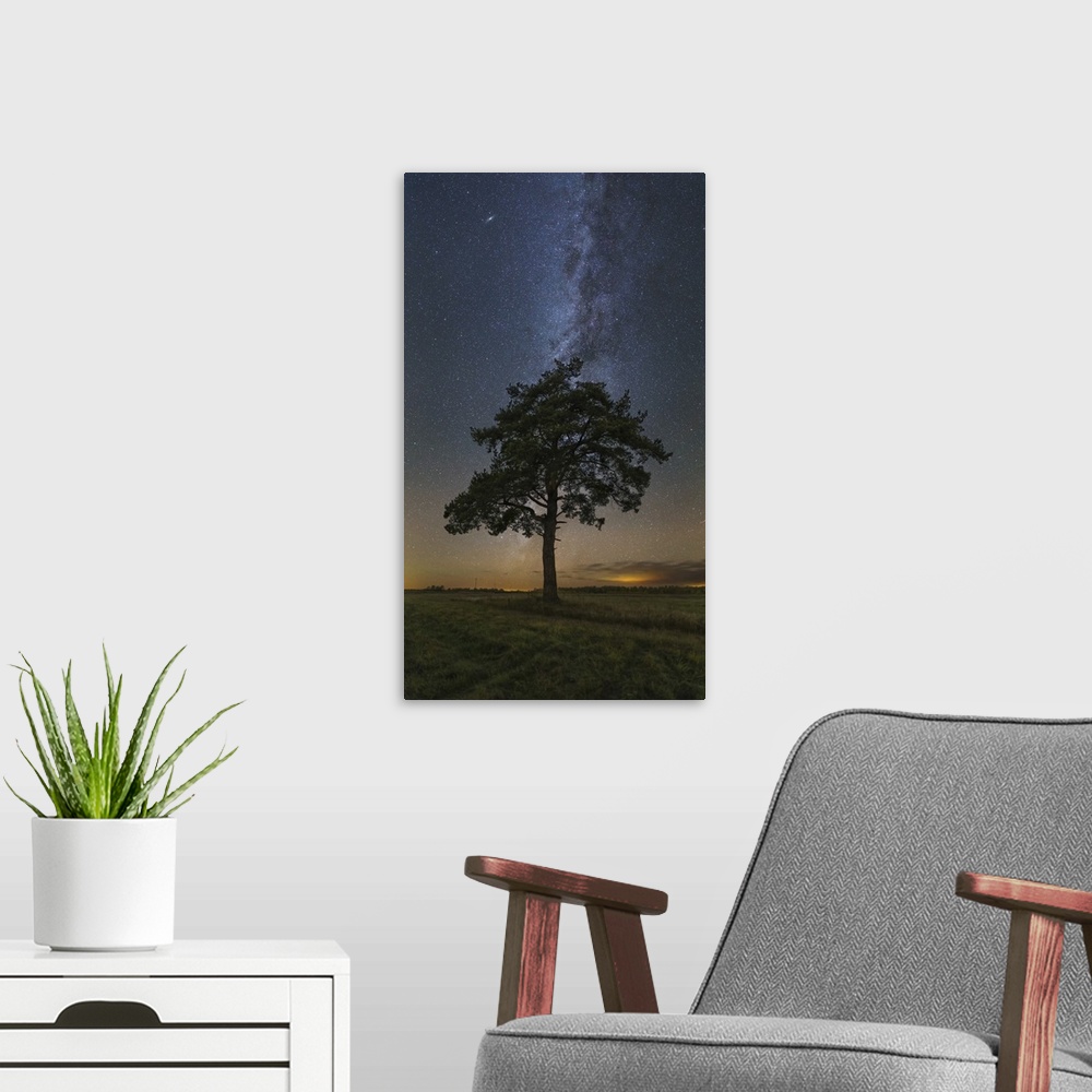 A modern room featuring Lonely tree in a field at night under the Milky Way in Vyazma, Russia.
