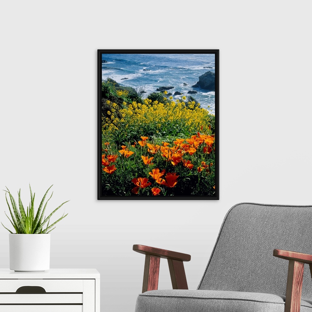 A modern room featuring Vertical photograph of florals growing on the top of a cliff overlooking the sea.