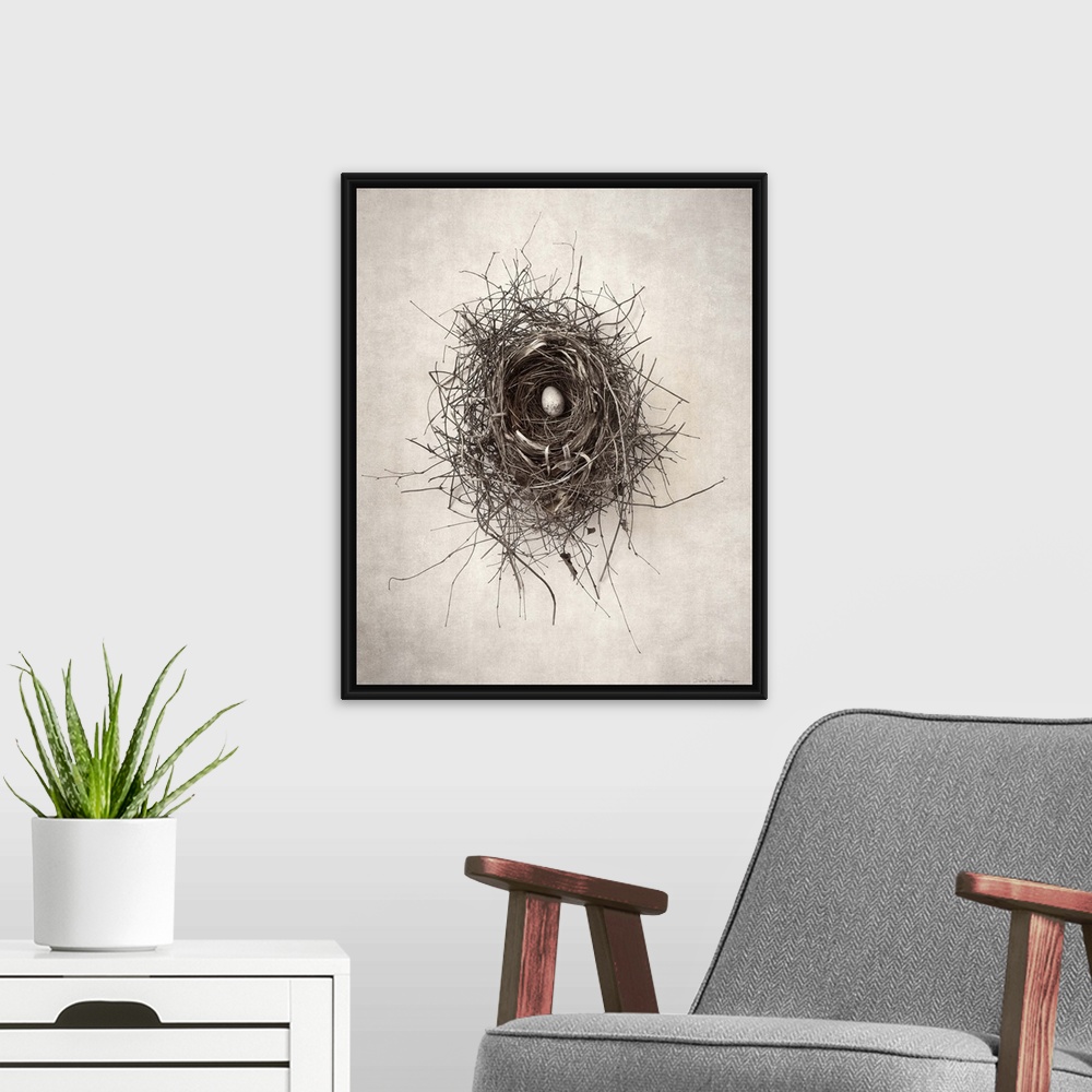 A modern room featuring Antique style photograph of a bird's nest with a single egg inside.