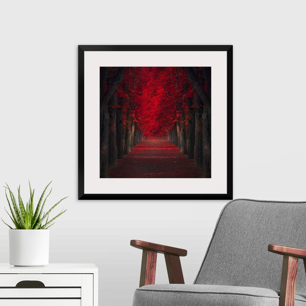 A modern room featuring Pathway lined with trees with deep red leaves.