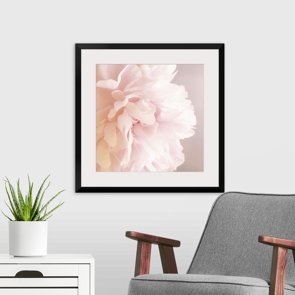 A modern room featuring Peony V