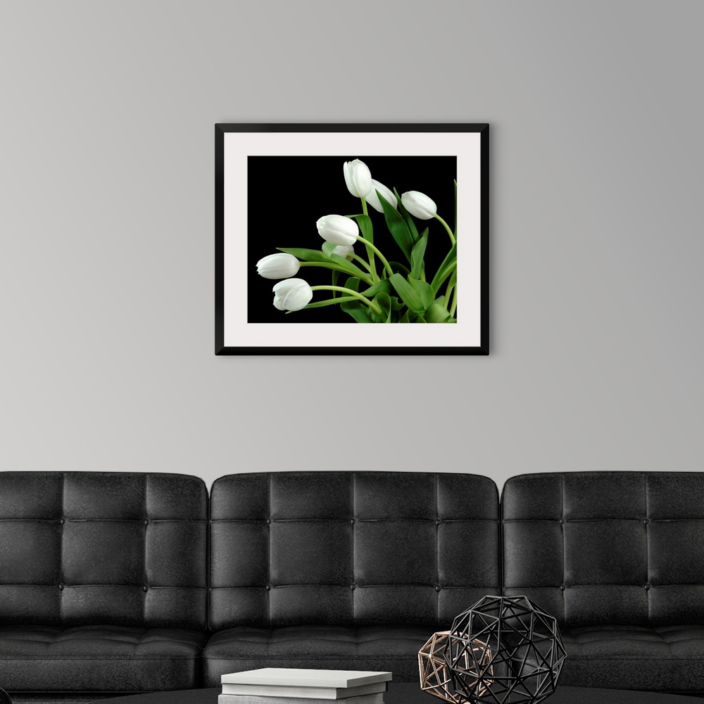 A modern room featuring Photograph of flowers and their leaves against a dark staged background.