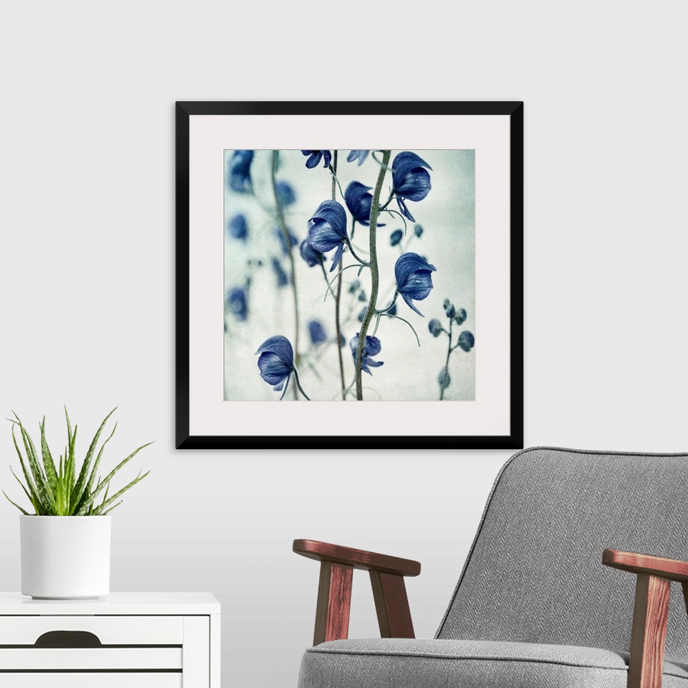 A modern room featuring Huge photograph emphasizes the sharp focus on a blossom hanging down.  The intense focus of the f...