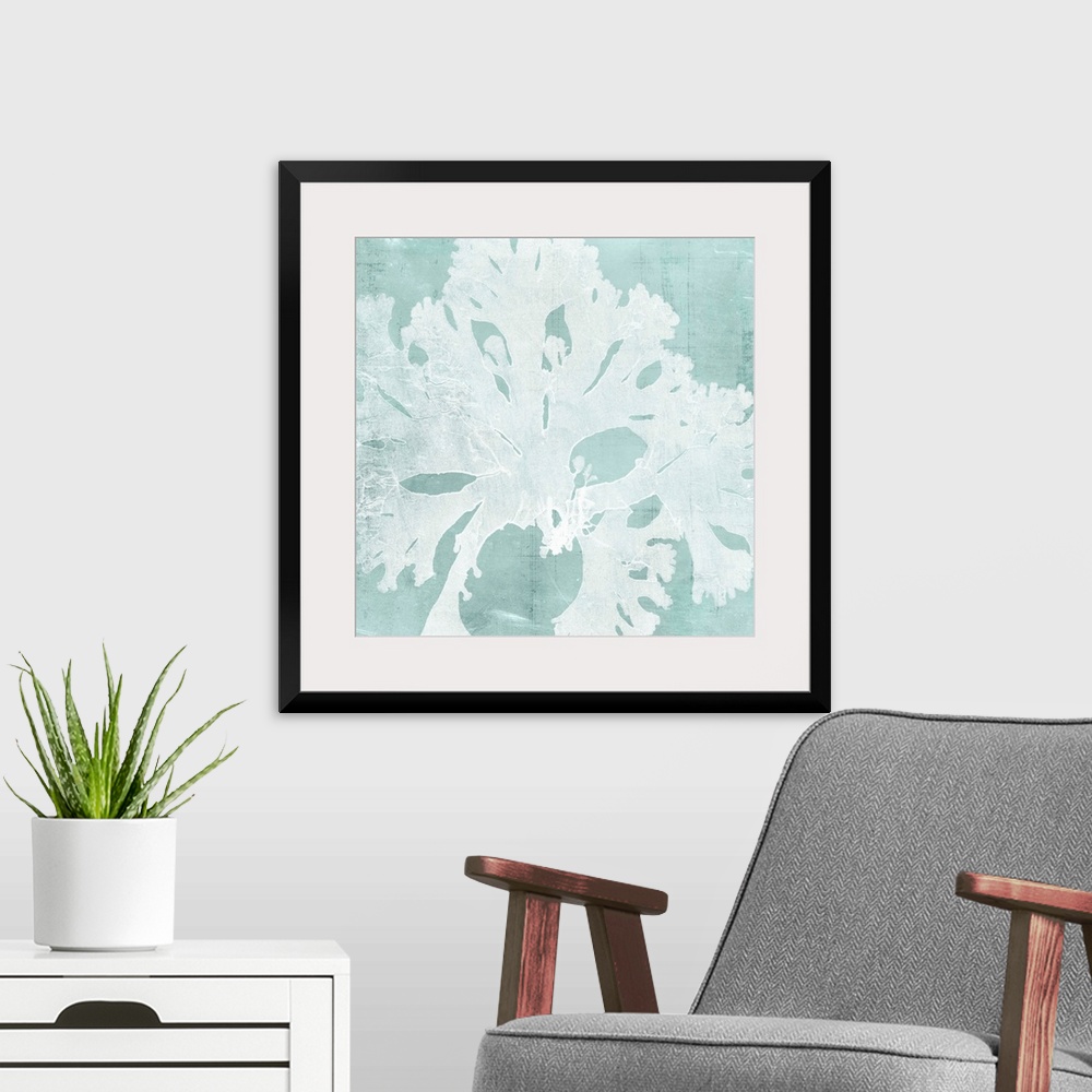 A modern room featuring Seaweed illustration in white on an aquamarine blue background.