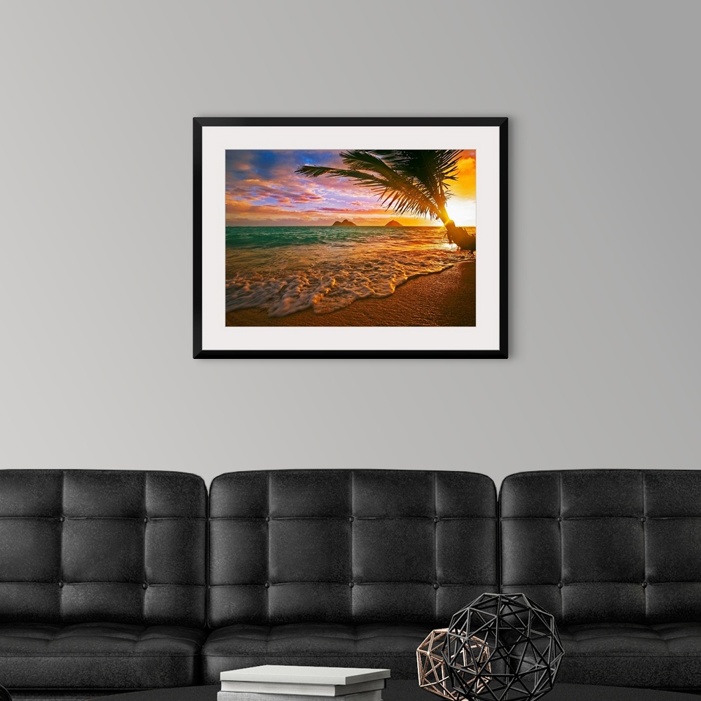 A modern room featuring Horizontal, photographic wall hanging of a palm tree swaying over the shoreline of Lanikai Beach,...