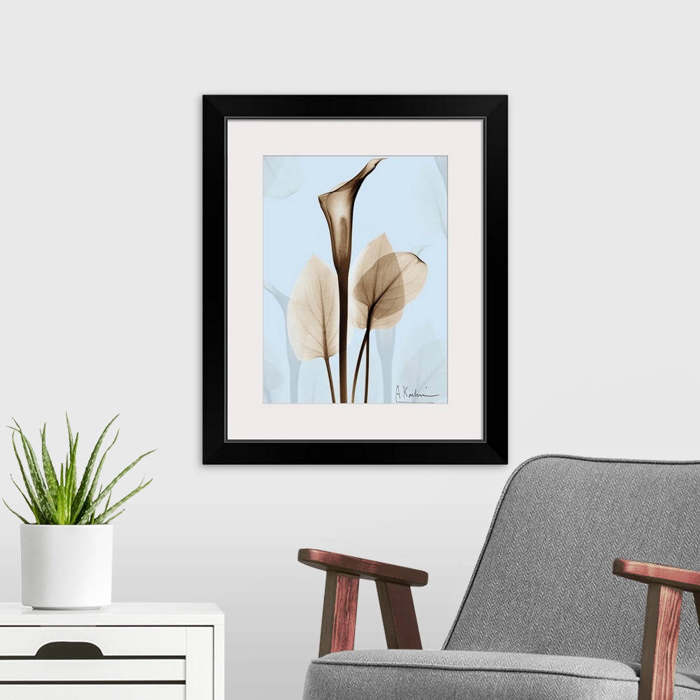 A modern room featuring Large, vertical x-ray photograph of a calla lily and several leaves, on a light background with t...