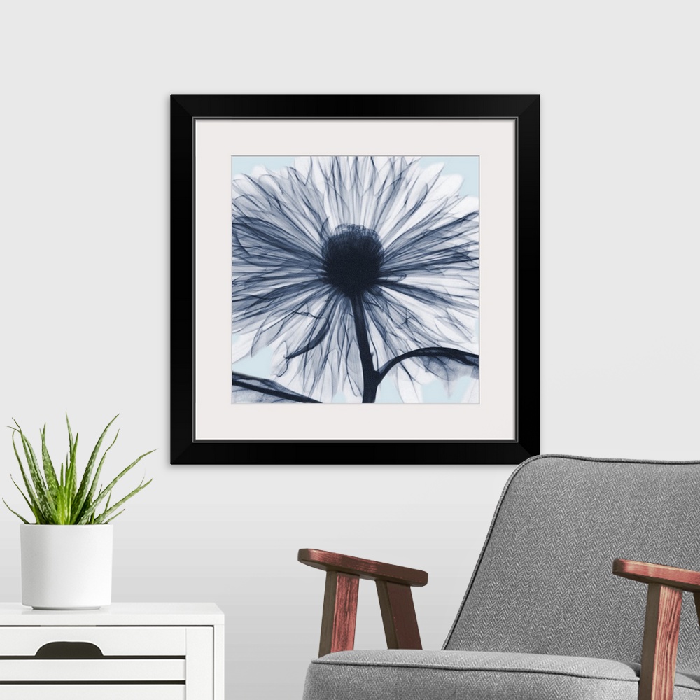 A modern room featuring Chrysanthemum Blues