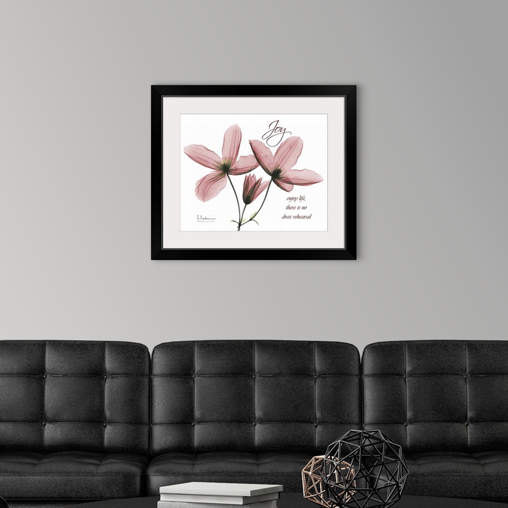 A modern room featuring Clematis Joy x-ray photography