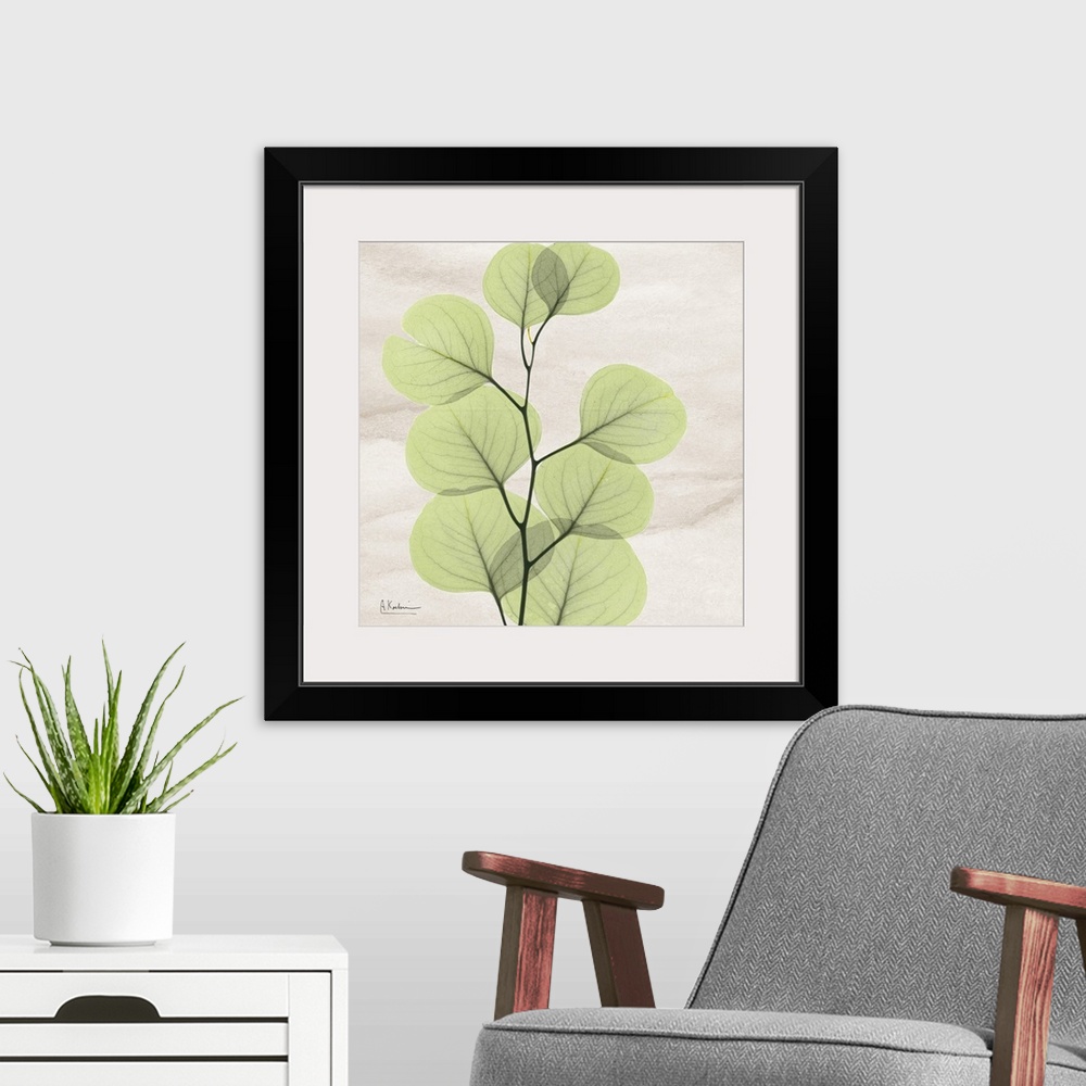 A modern room featuring Square x-ray photograph of a eucalyptus branch with leaves on a smooth, neutral background.